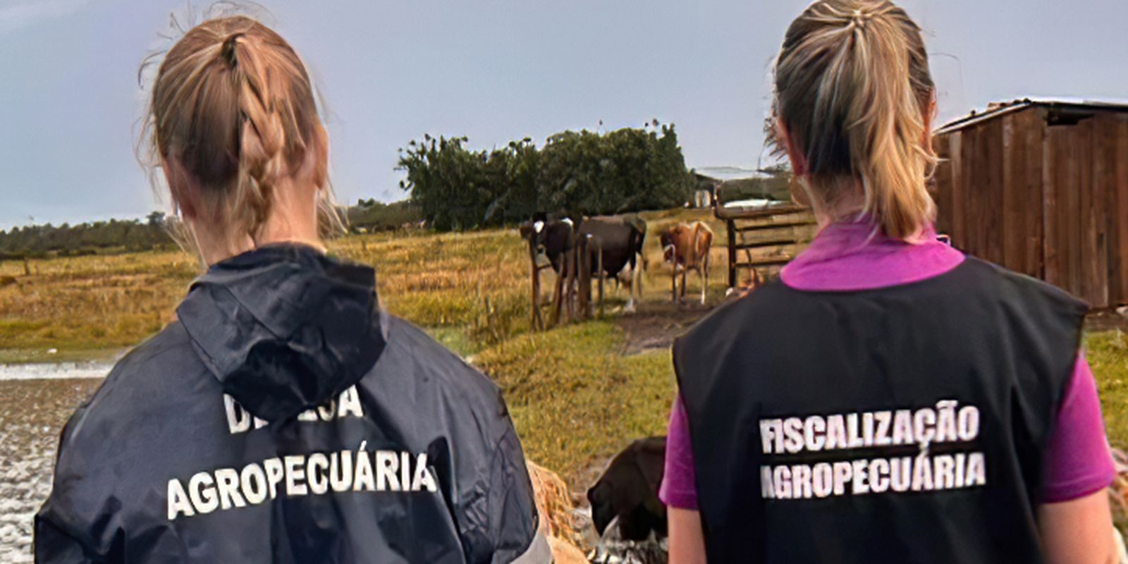 MG confirma gripe aviária em pássaro silvestre, diz vice-governador
