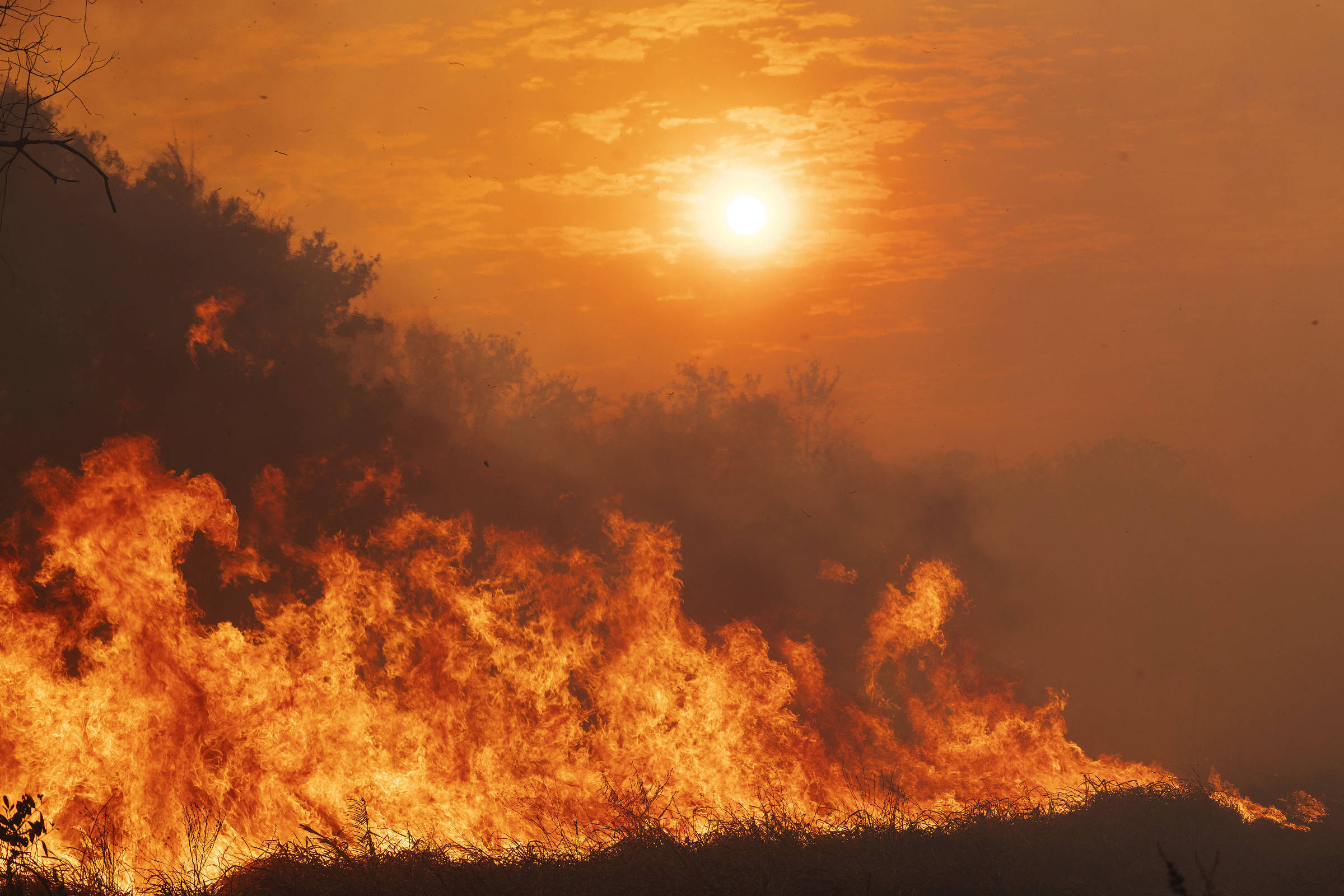 Incêndios florestais: Câmara aprova PL que eleva punição – 02/06/2025 – Brasília Hoje