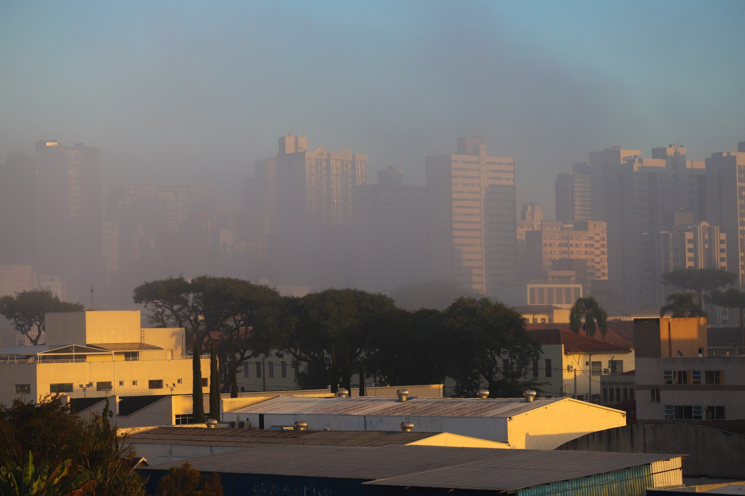 ‘Neblina que baixa, sol que racha?’: entenda fenômeno e porquê nem sempre ditado popular está correto | Paraná
