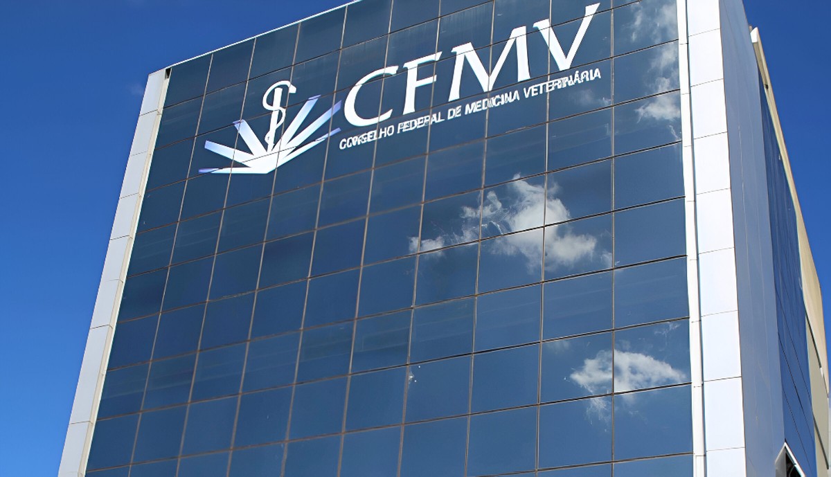 CFMV publica edital de concurso com salários de até R$ 11 mil; veja vagas e como se inscrever | Concursos