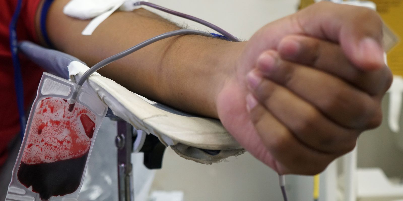 Hoje é o Dia Mundial do Doador de sangue