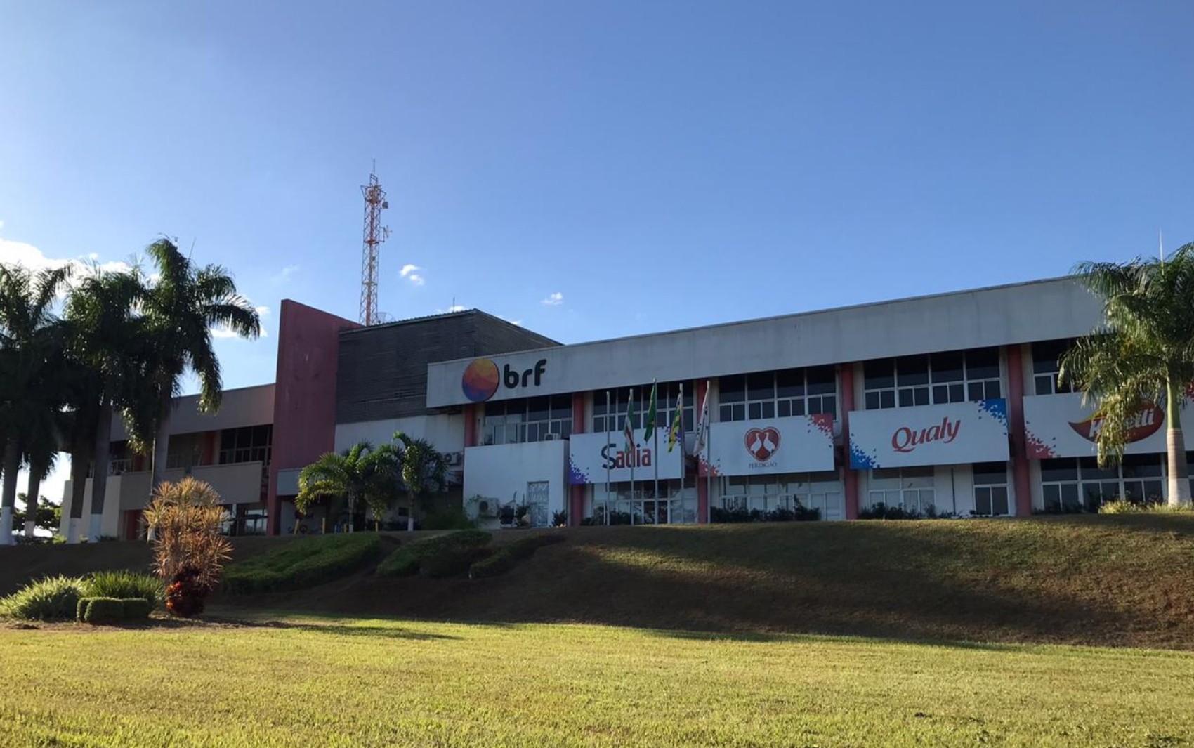 BRF abate 74 mil galinhas de forma preventiva para evitar risco de gripe aviária, em Goiás | Goiás