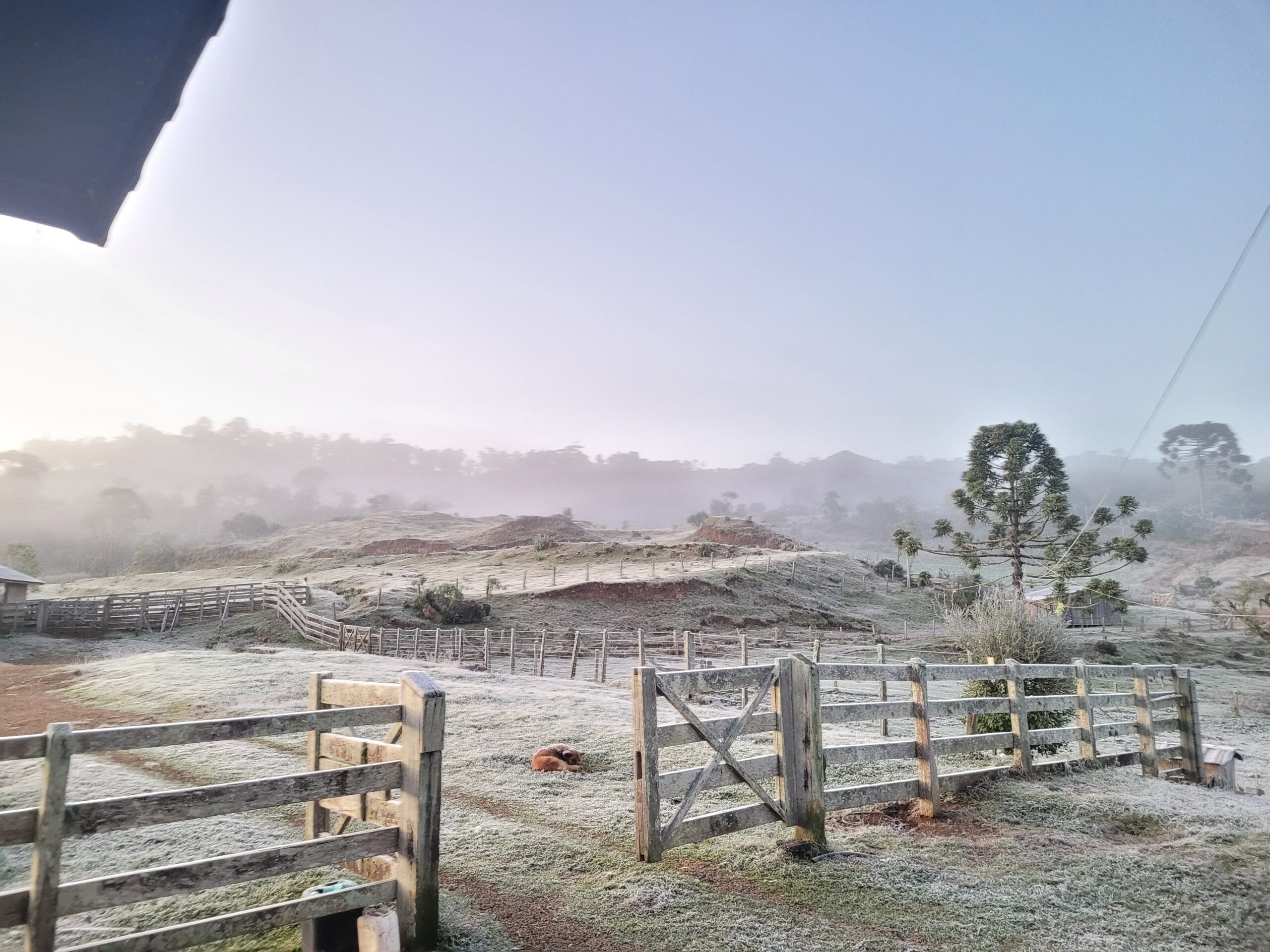 Paraná amanhece com geadas e termômetros a -3,4ºC, recorde de frio de 2025 no estado; veja imagens e previsão do tempo | Campos Gerais e Sul