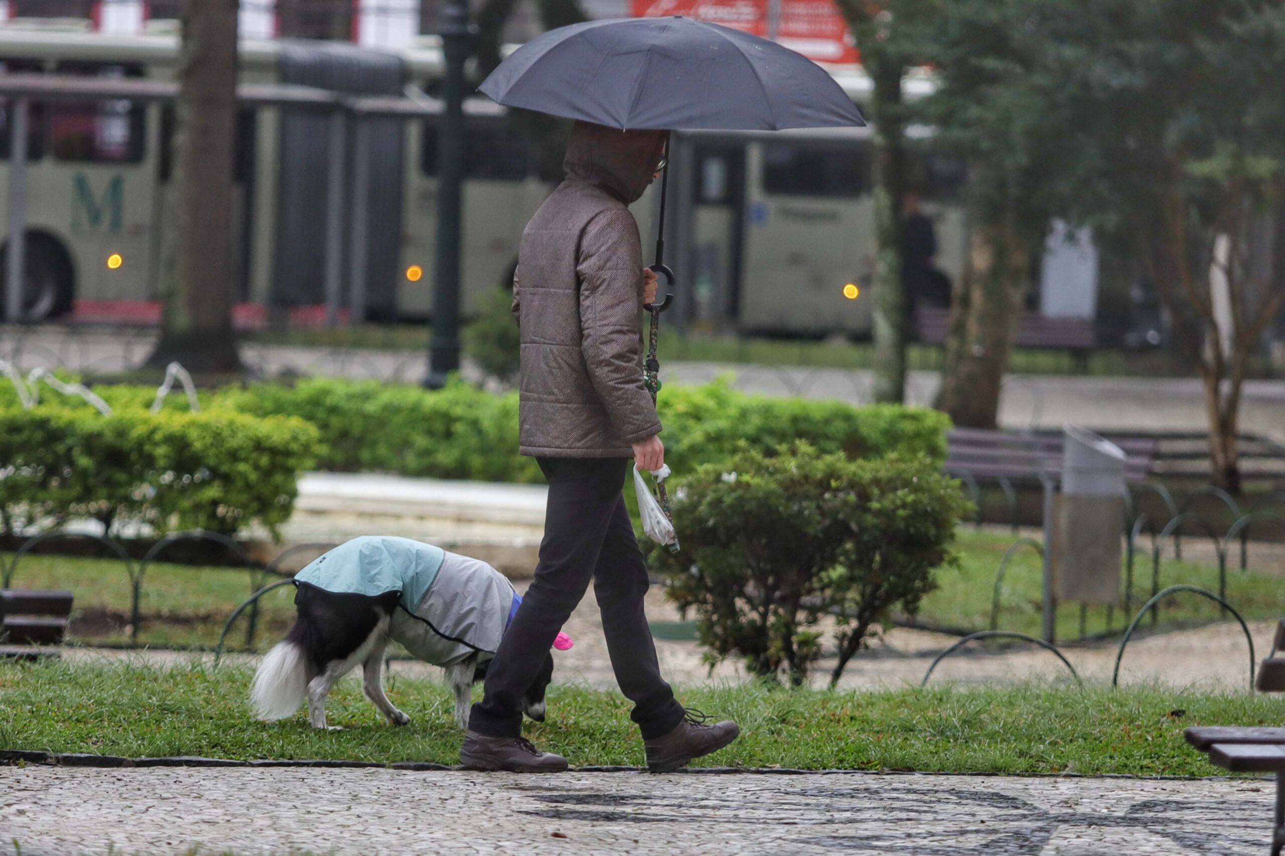 Inmet emite alerta de chuvas intensas para 371 cidades do Paraná; veja quais
