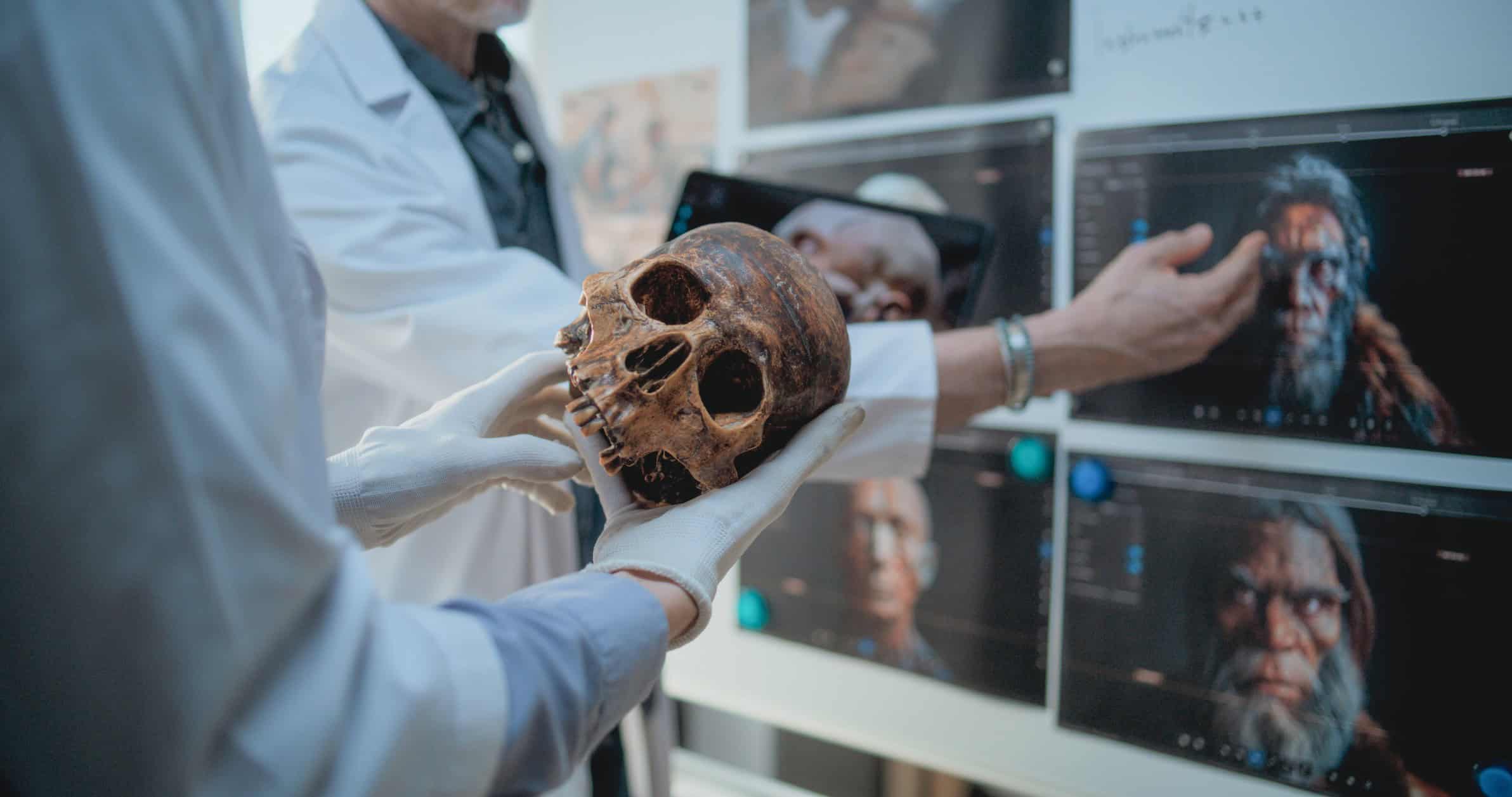 Qual era a cor dos olhos, cabelos e pele dos neandertais?