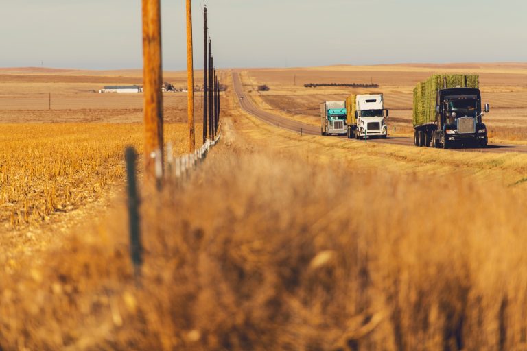 Comissão promove seminário sobre relações trabalhistas no transporte rodoviário de cargas – Notícias