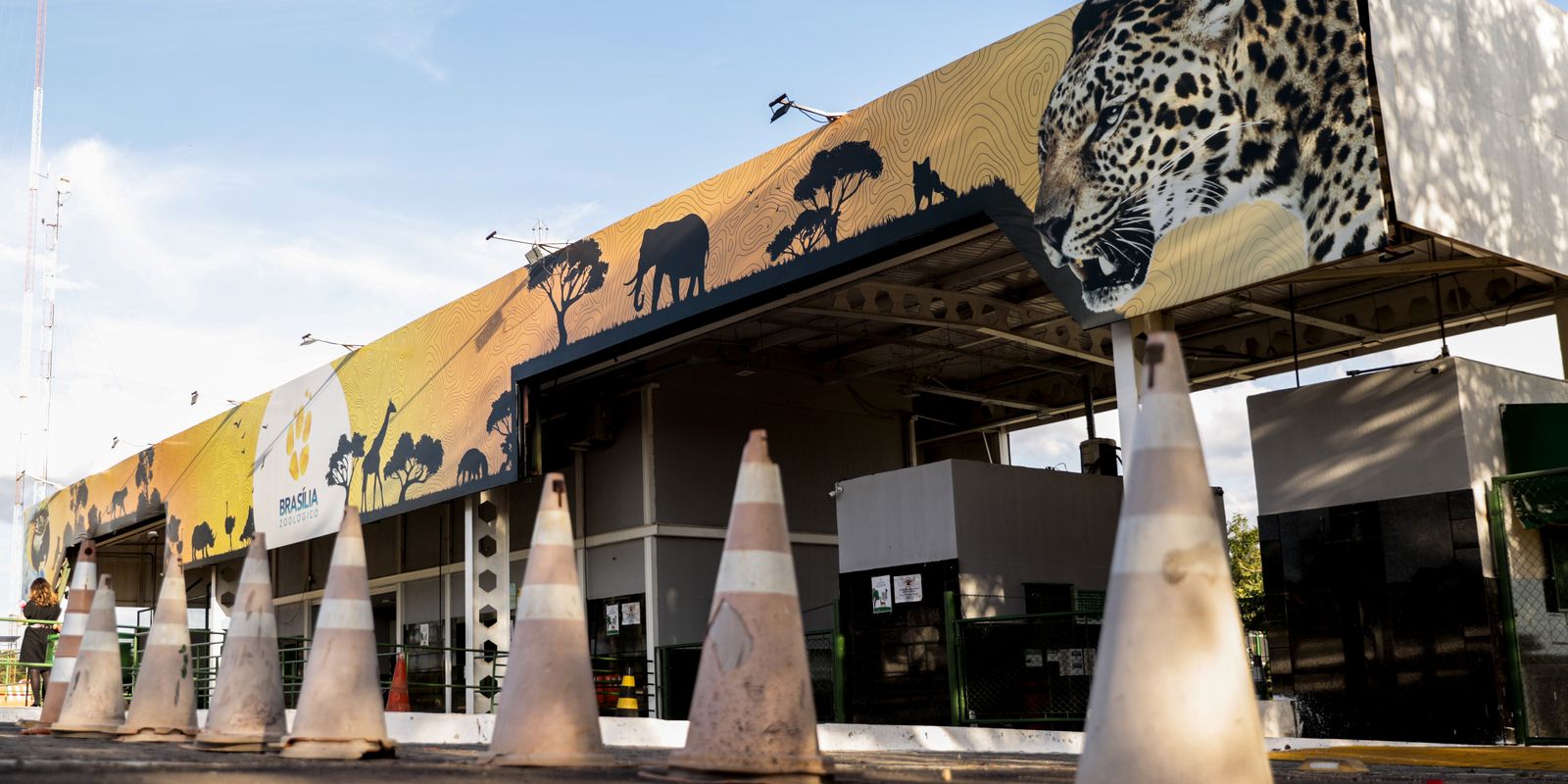 Caso de gripe aviária é confirmado no Zoológico de Brasília