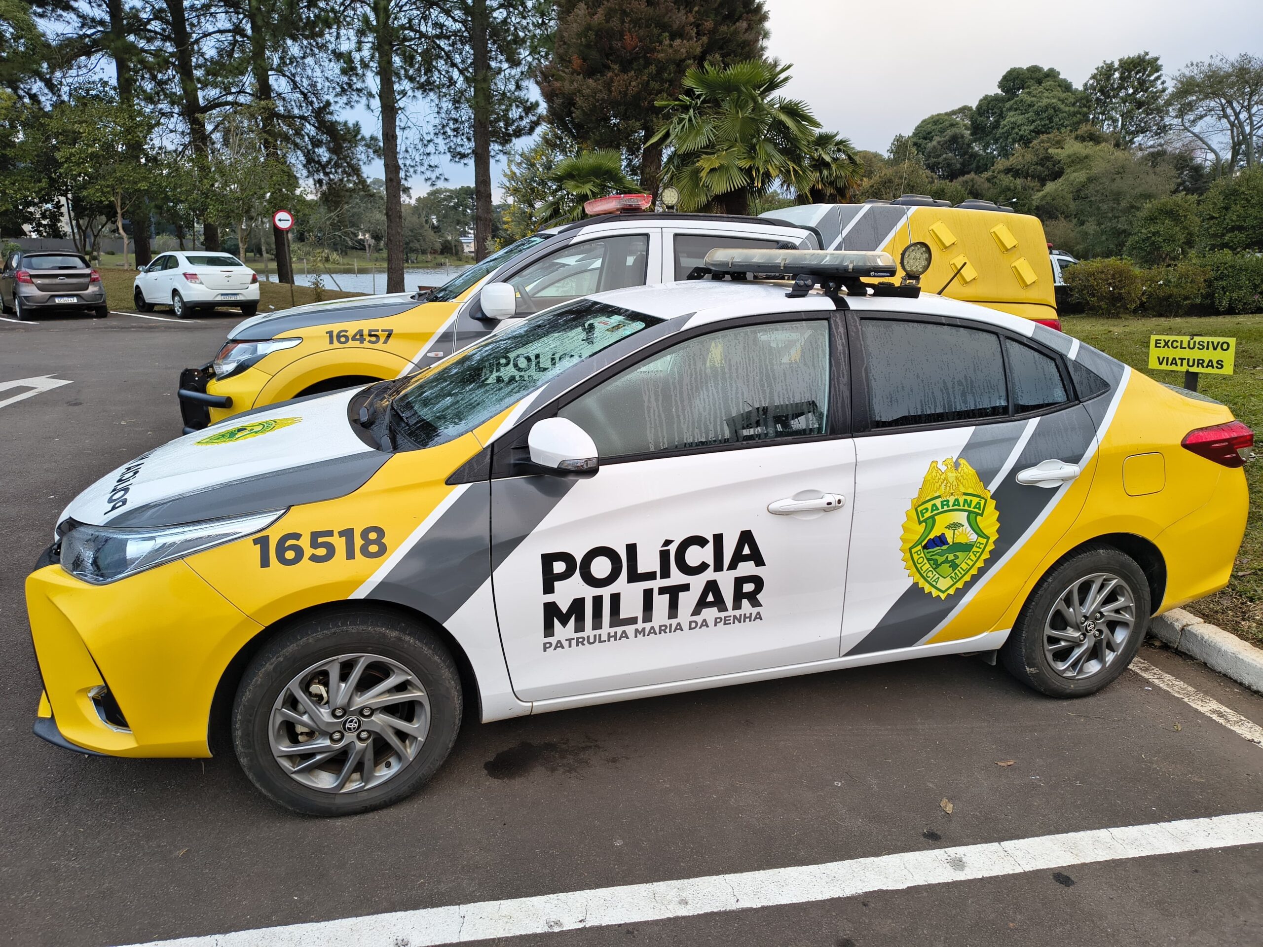 Pai e filho são presos em caso de violência doméstica, no PR; filho agrediu esposa e pai dele tentou impedir entrada da polícia, diz PM | Campos Gerais e Sul