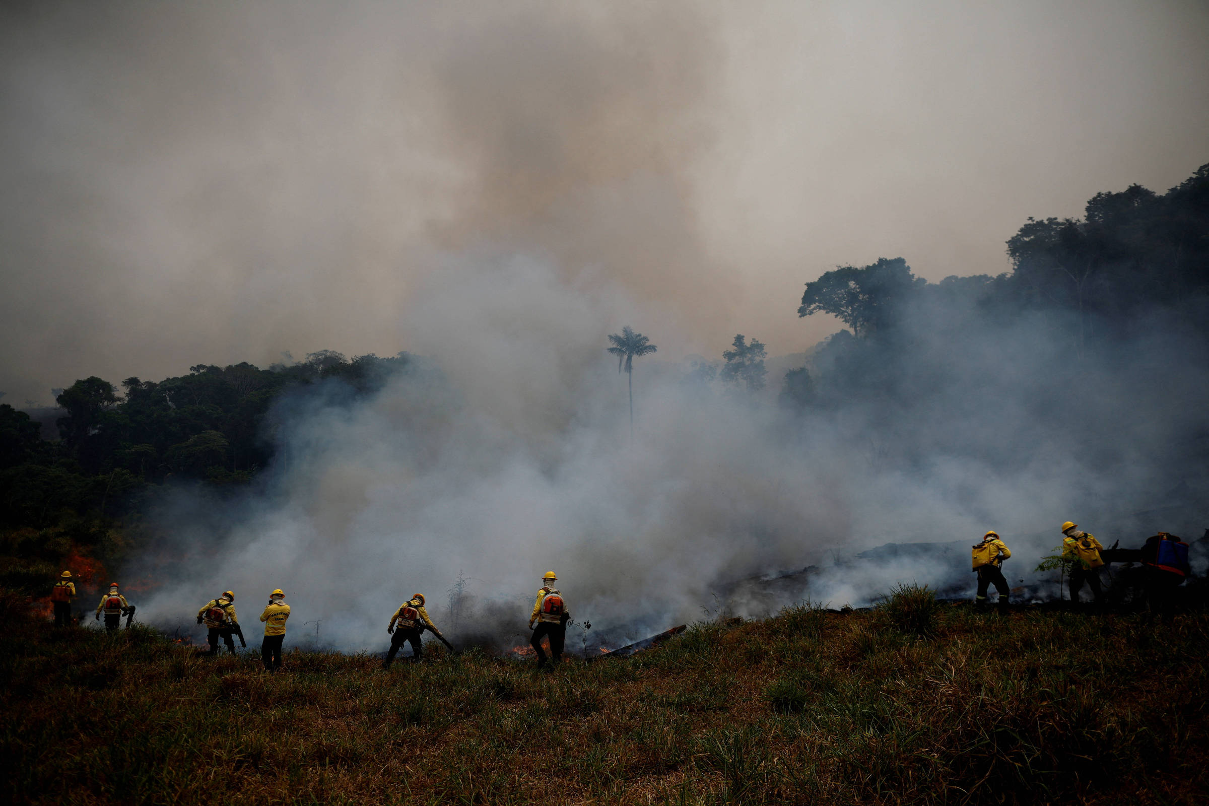 Amazônia: Ação por desmatamento mira suspeito de homicídio – 13/07/2025 – Painel