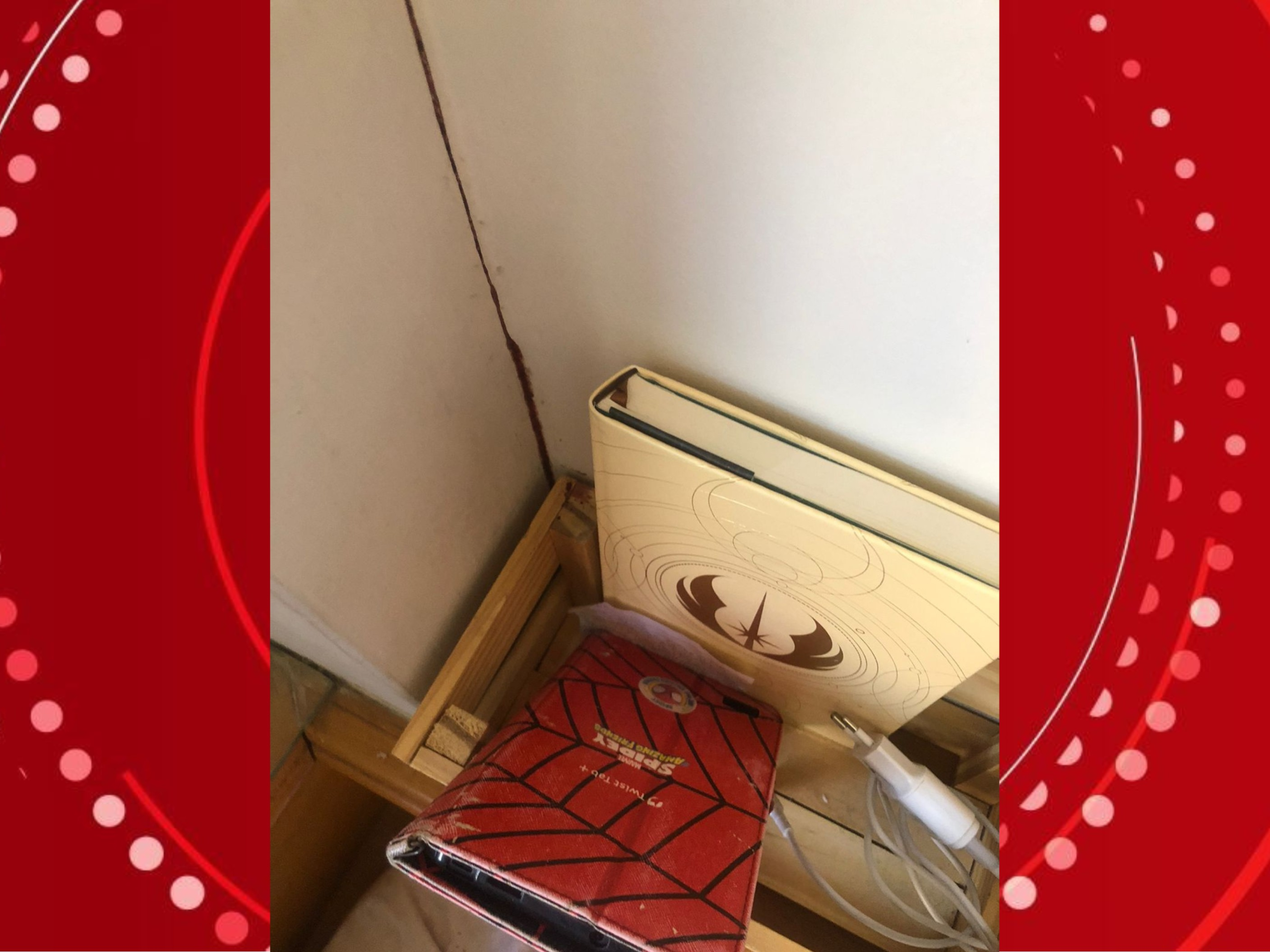 Casal de estrangeiros morto em Curitiba: veja o que se sabe e o que falta esclarecer