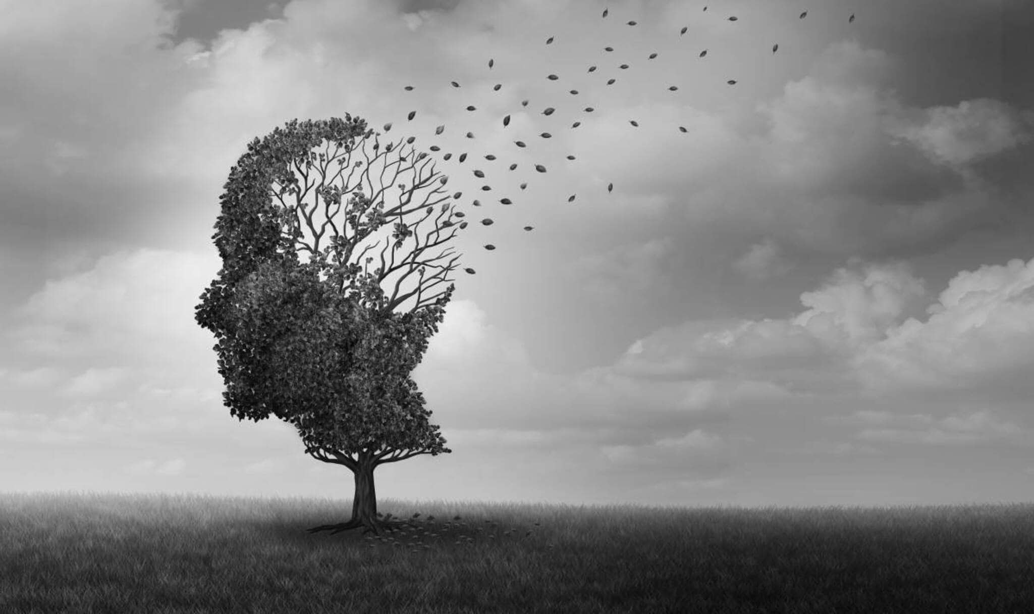 Alzheimer é mais comum em mulheres; novo estudo aponta hipótese