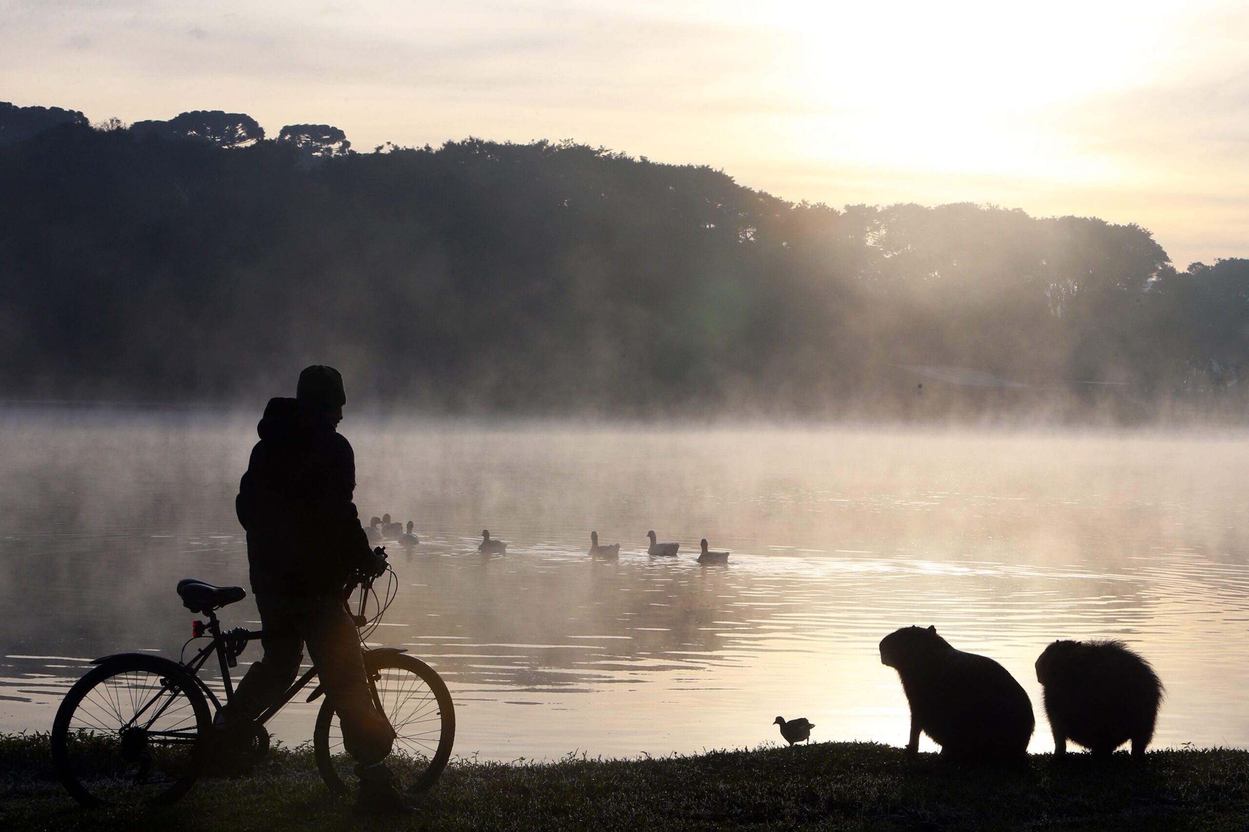 Paraná terá mais duas ondas de frio com geadas em julho, diz Simepar | Campos Gerais e Sul