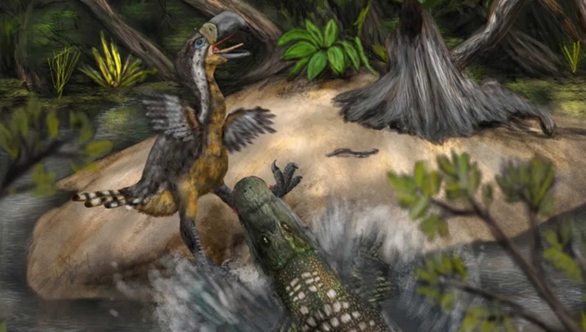 Predador temível, ‘pássaro do terror’ foi caçado por jacaré gigante