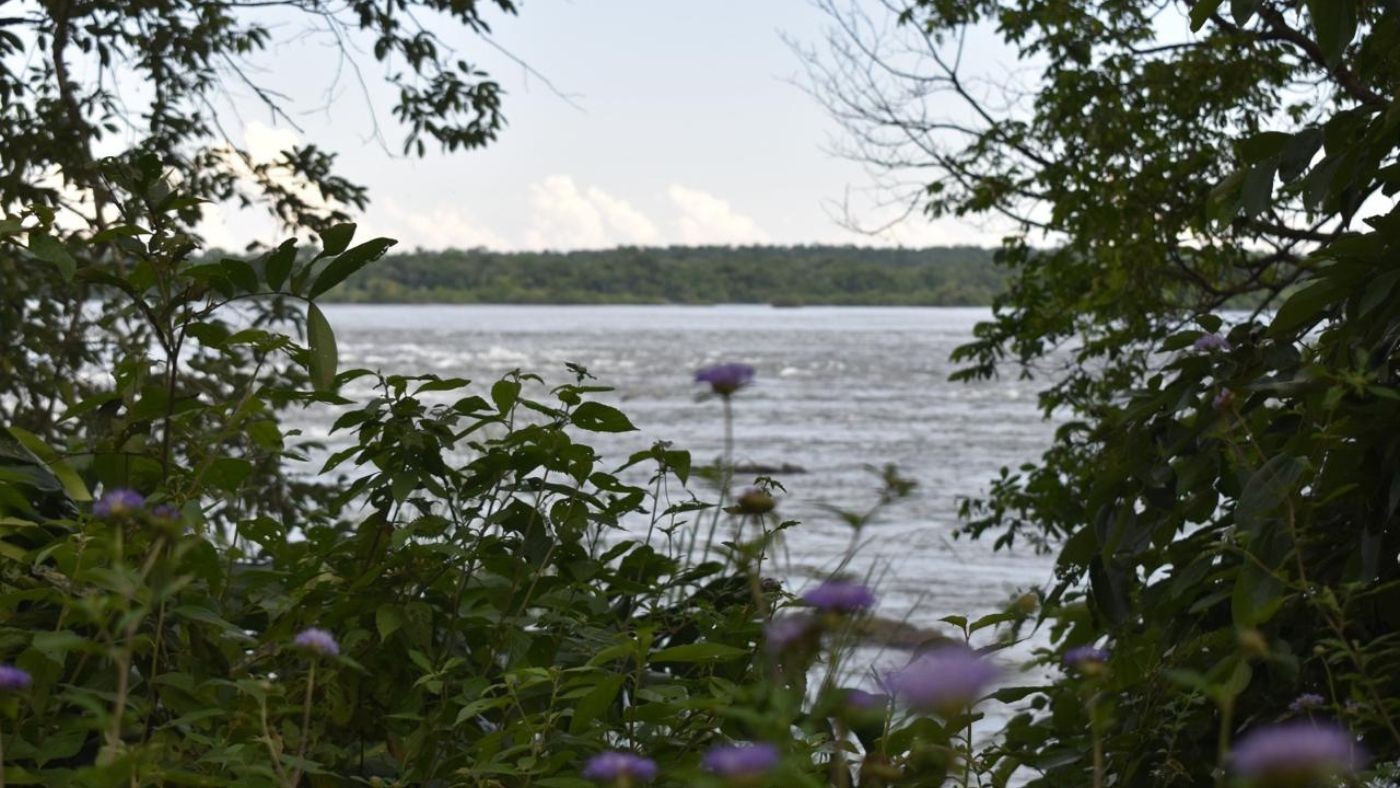 Trilhas e ciclovia: novidades nas Cataratas do Iguaçu | Visite Foz do Iguaçu