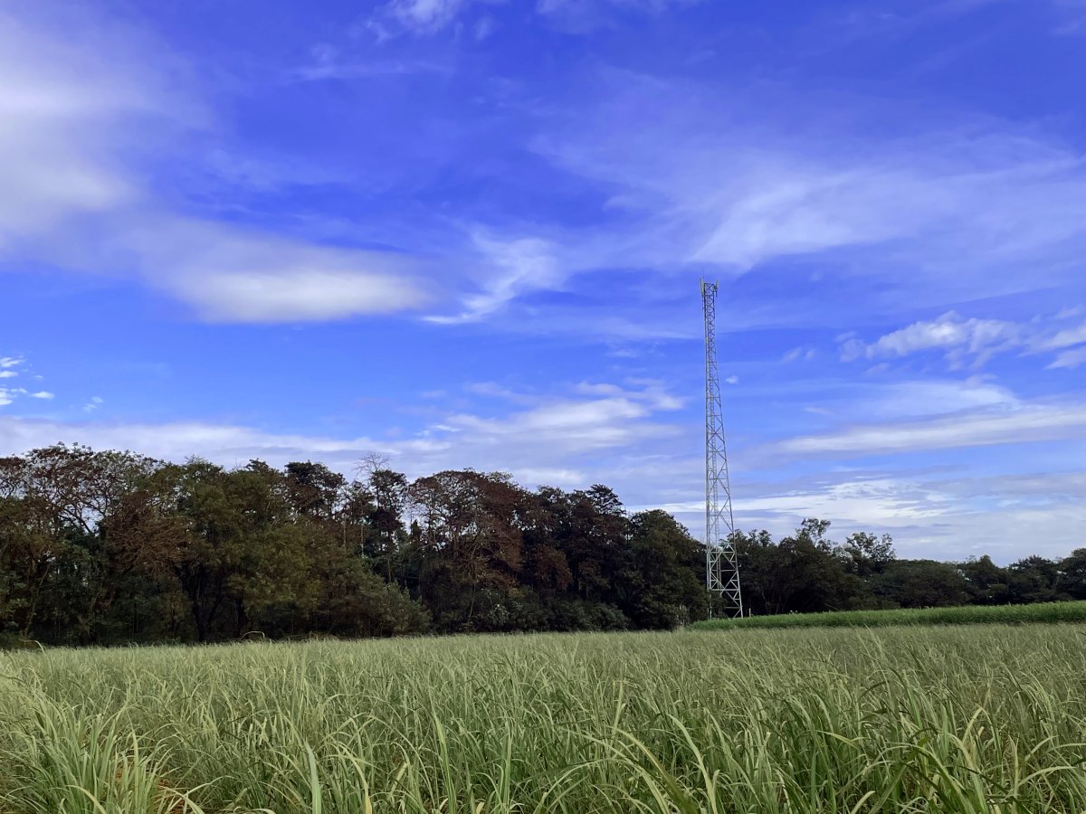 TIM e Usina Santa Terezinha levam conectividade ao Paraná
