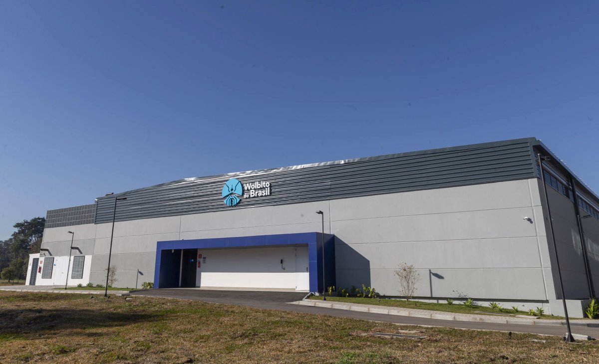 Paraná abre maior biofábrica de mosquitos do mundo de combate à dengue